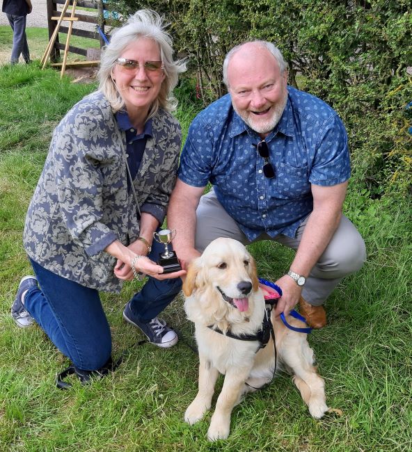 pat therapy dogs